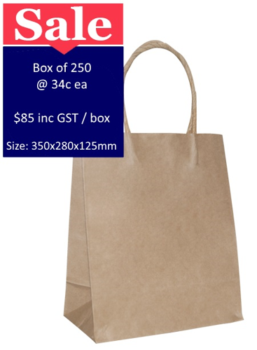 Picture of Brown Paper Bags Large